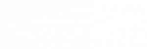 logo_weiss
